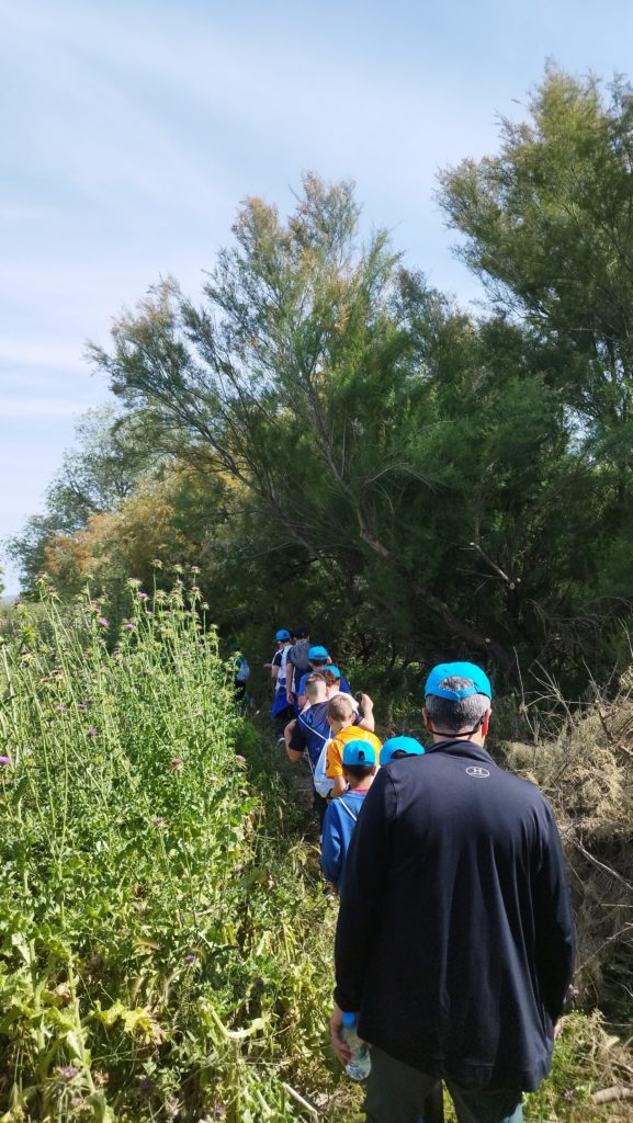 WhatsApp Image 2025-05-14 at 16.34.31 (1)