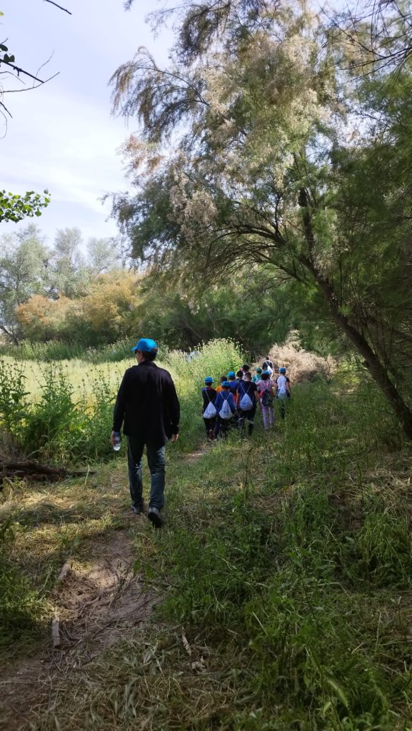 WhatsApp Image 2025-05-14 at 16.34.31