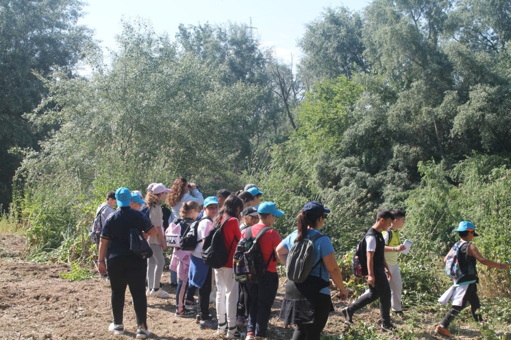 WhatsApp Image 2025-05-14 at 16.41.23 (1)