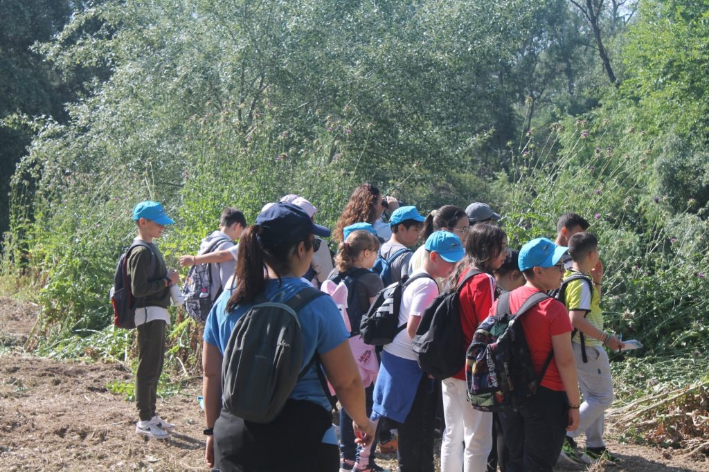 WhatsApp Image 2025-05-14 at 16.41.25 (2)