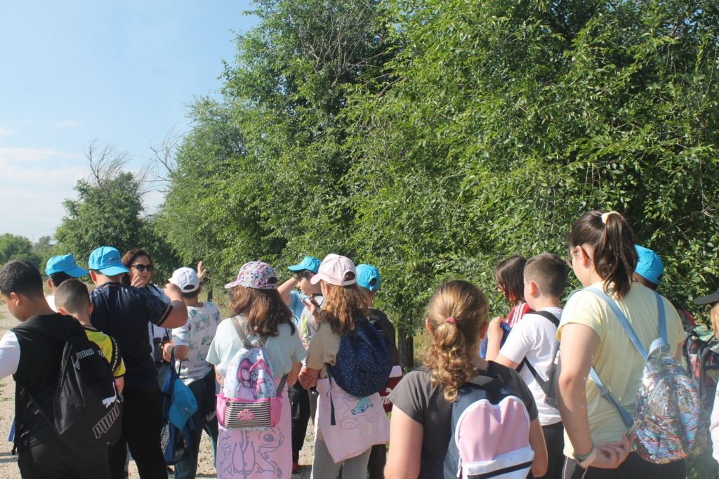 WhatsApp Image 2025-05-14 at 16.41.33