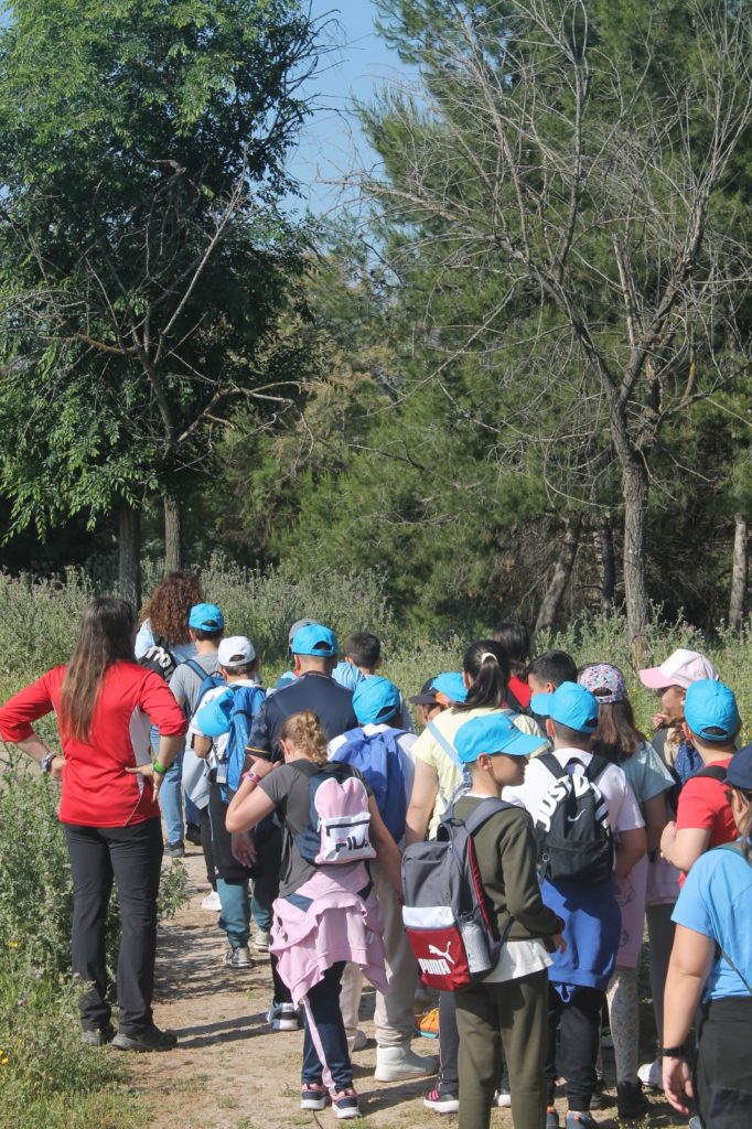 WhatsApp Image 2025-05-14 at 16.41.46