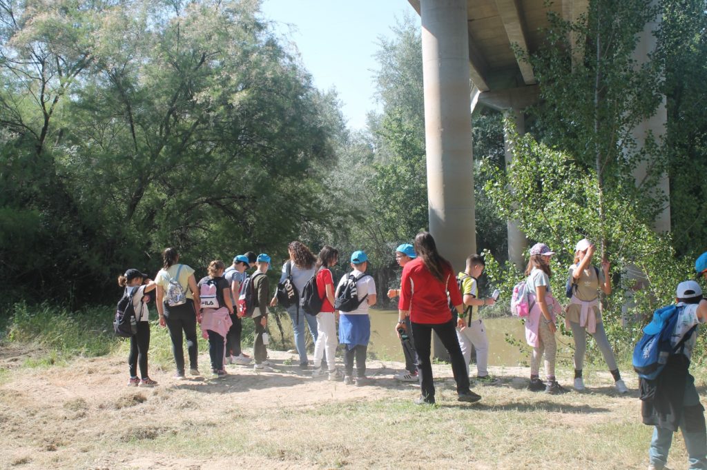 WhatsApp Image 2025-05-14 at 16.44.48