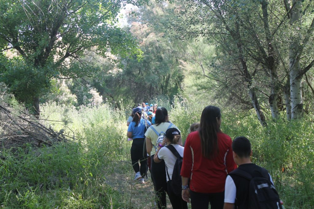 WhatsApp Image 2025-05-14 at 16.45.19