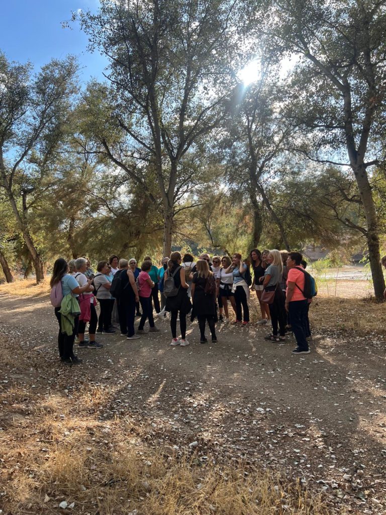 WhatsApp Image 2025-10-21 at 21.06.47