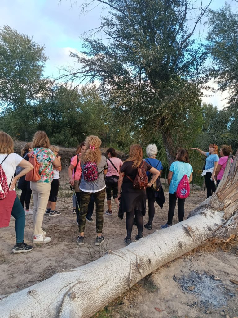 WhatsApp Image 2025-10-21 at 21.06.54