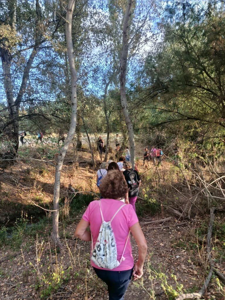 WhatsApp Image 2025-10-21 at 21.06.55