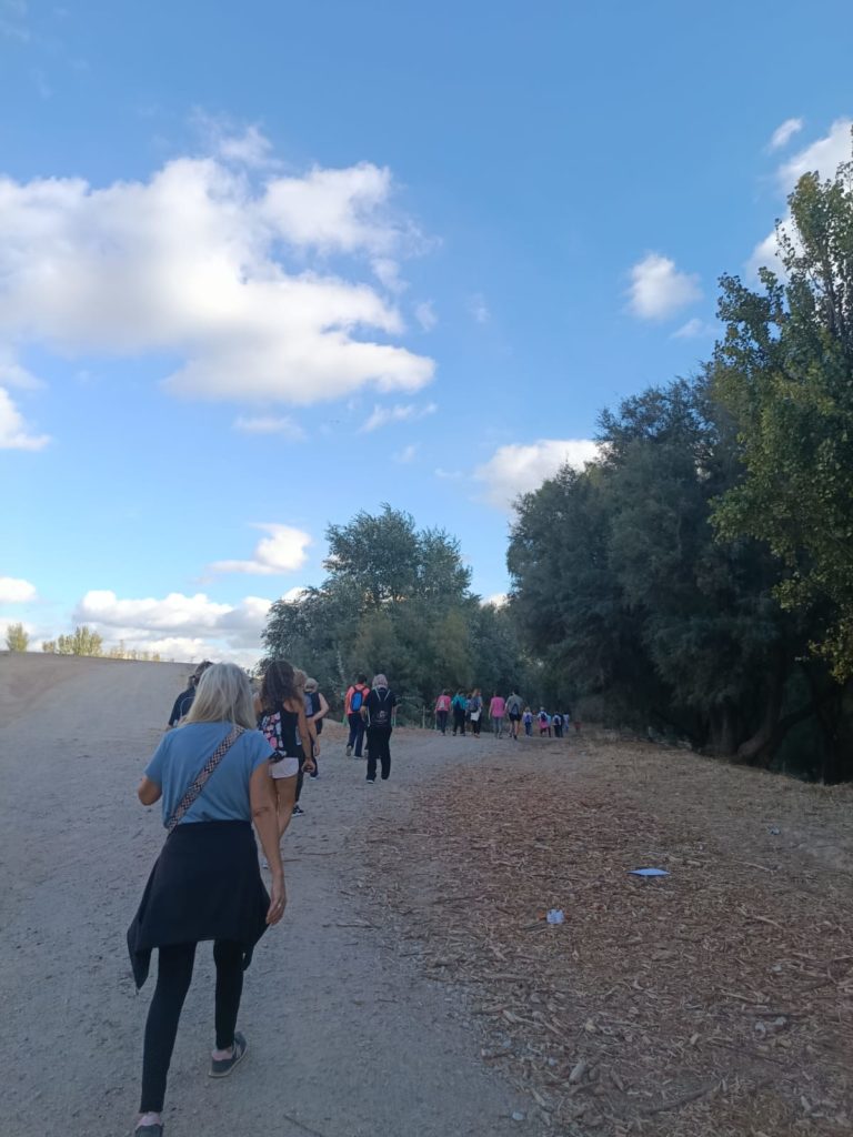 WhatsApp Image 2025-10-21 at 21.06.59 (1)