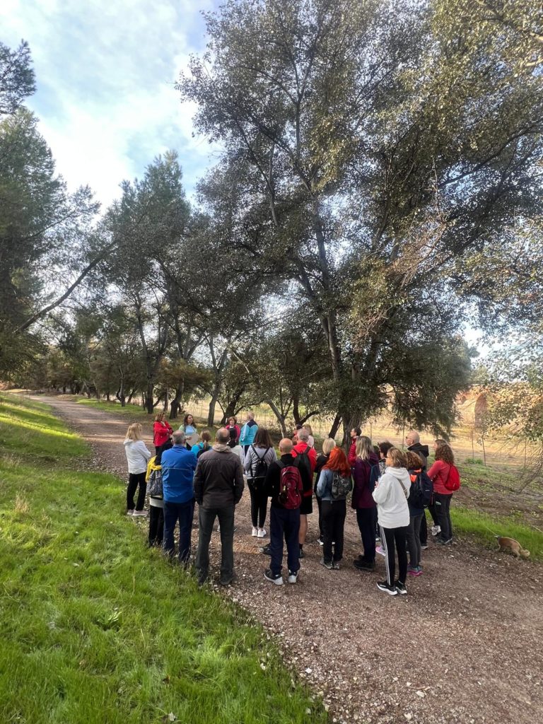 WhatsApp Image 2025-12-25 at 21.30.55 (1)