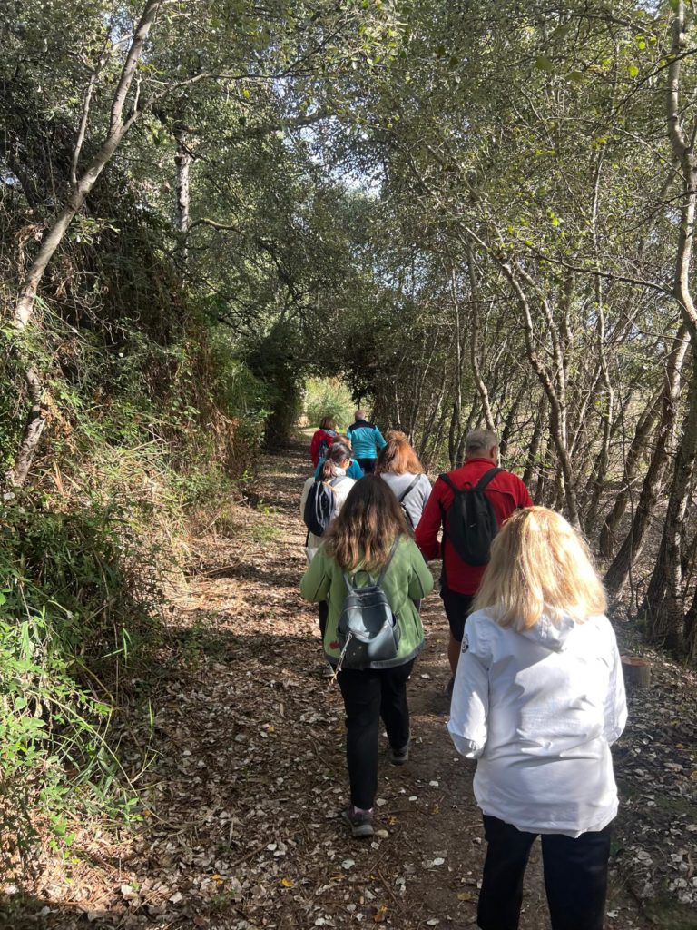 WhatsApp Image 2025-12-25 at 21.30.55 (3)