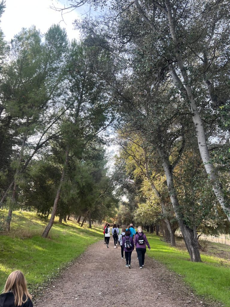 WhatsApp Image 2025-12-25 at 21.30.55