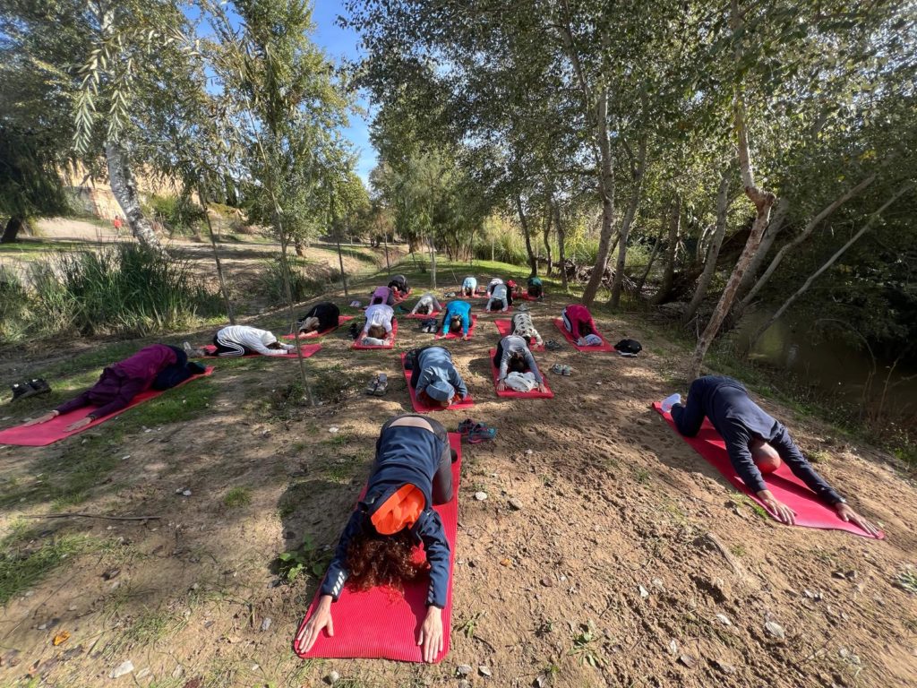 WhatsApp Image 2025-12-25 at 21.30.56 (1)