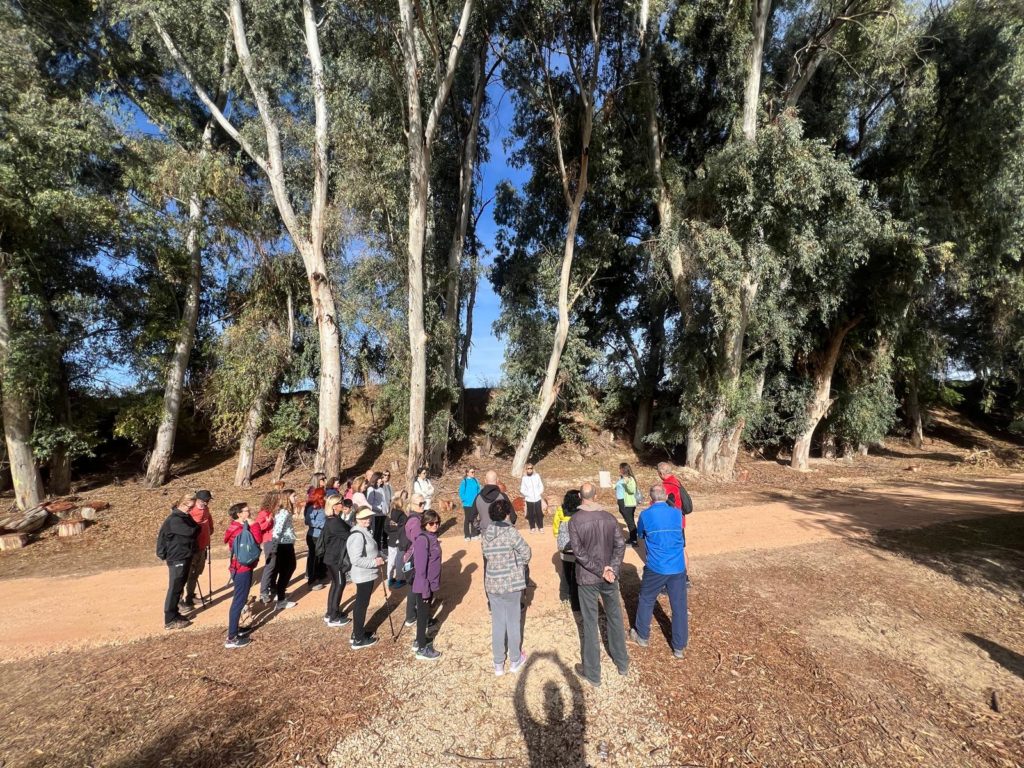 WhatsApp Image 2025-12-25 at 21.30.56 (3)