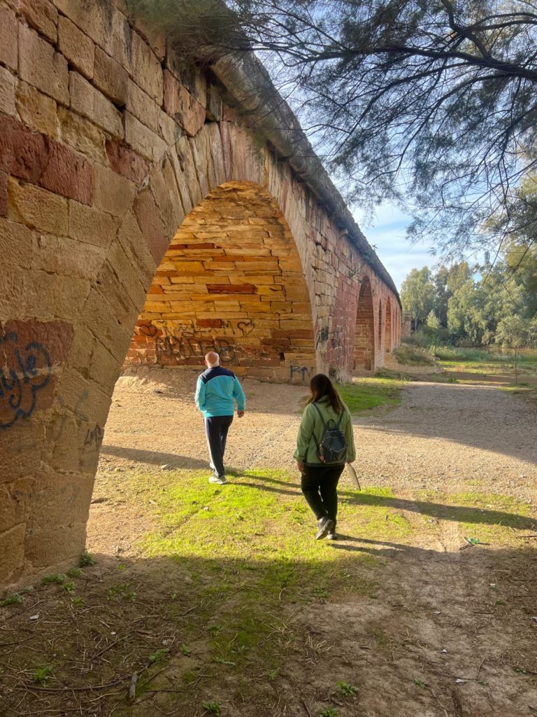 WhatsApp Image 2025-12-25 at 21.30.58 (1)