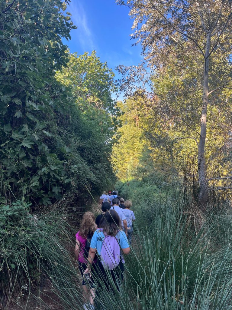 WhatsApp Image 2025-12-25 at 21.46.51 (1)