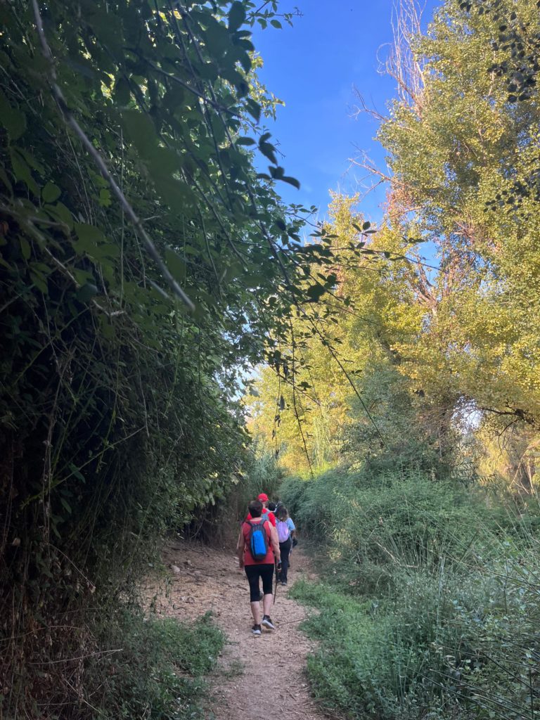 WhatsApp Image 2025-12-25 at 21.46.52 (1)