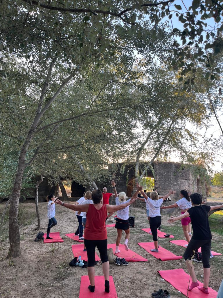 WhatsApp Image 2025-12-25 at 21.46.57