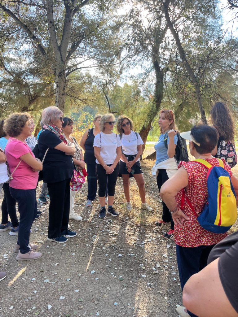 WhatsApp Image 2025-12-29 at 13.16.33