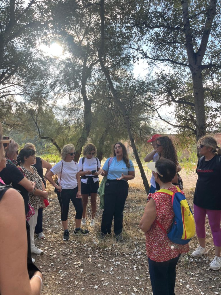 WhatsApp Image 2025-12-29 at 13.17.00