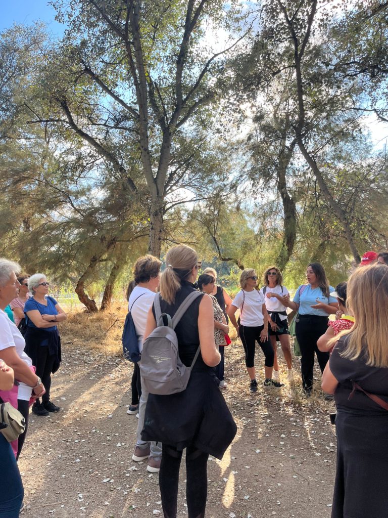 WhatsApp Image 2025-12-29 at 13.17.28