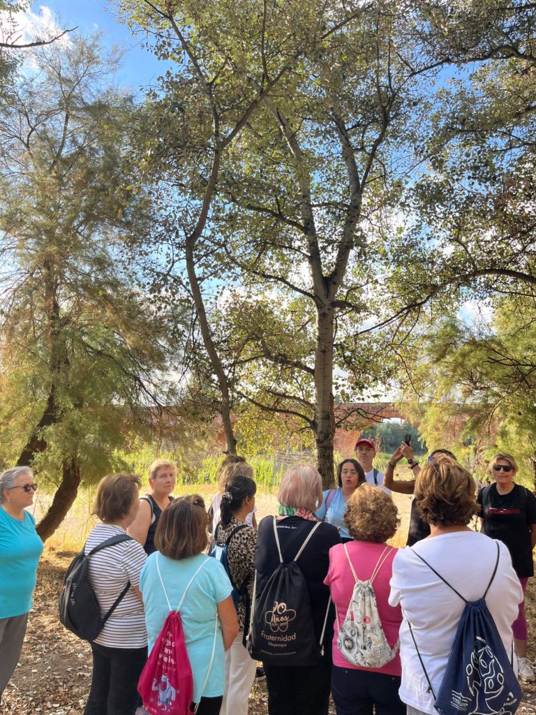 WhatsApp Image 2025-12-29 at 13.17.29