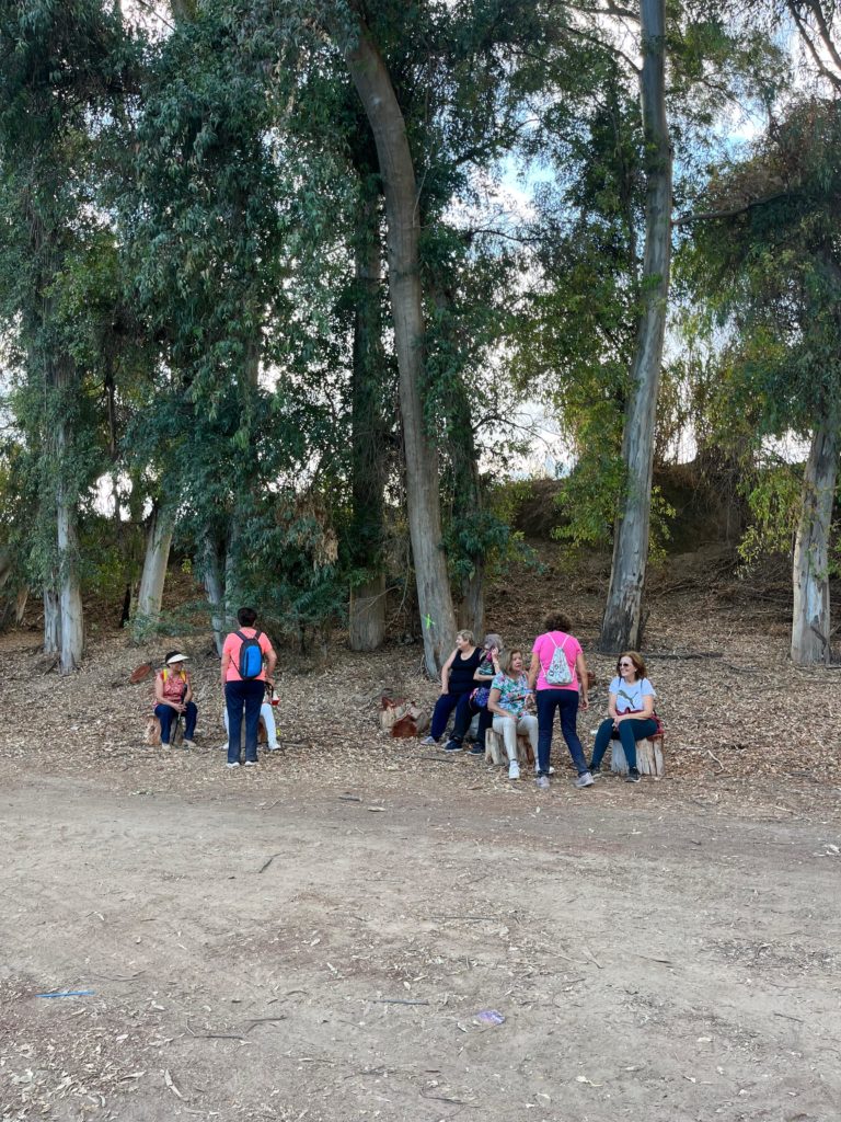 WhatsApp Image 2025-12-29 at 13.17.32