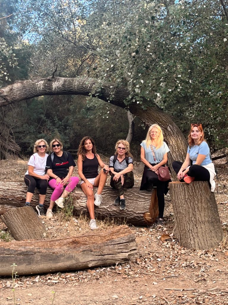 WhatsApp Image 2025-12-29 at 13.17.39 (1)