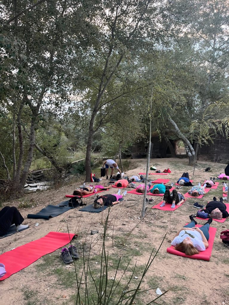 WhatsApp Image 2025-12-29 at 13.17.42