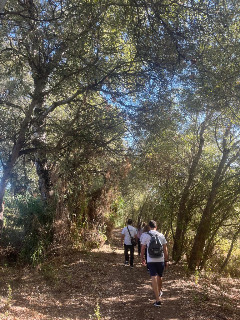 WhatsApp Image 2025-12-29 at 13.43.43 (2)