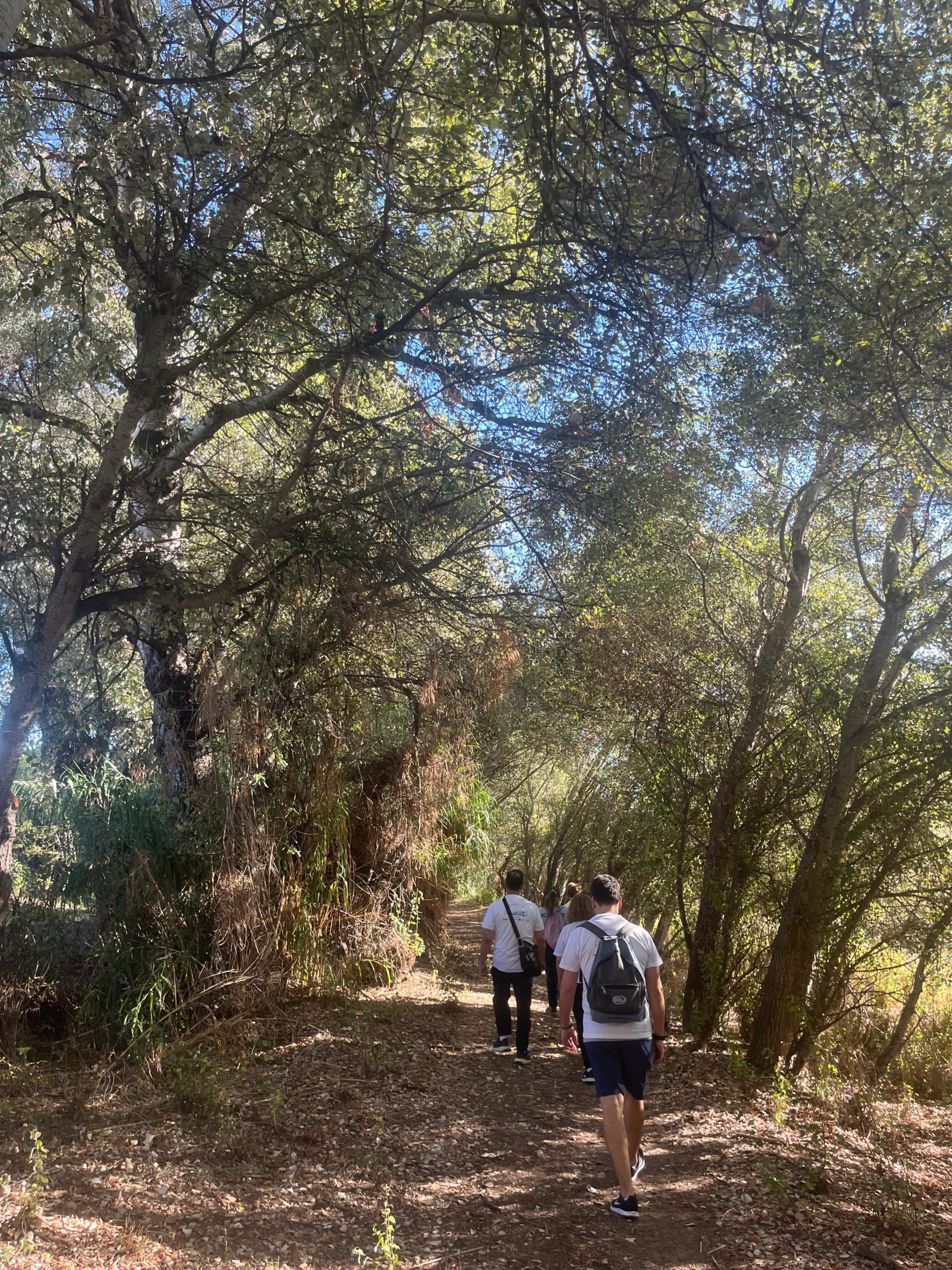 WhatsApp Image 2025-12-29 at 13.43.43 (2)