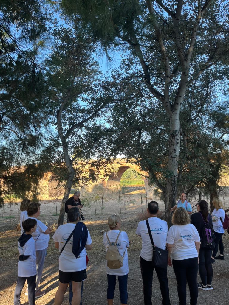 WhatsApp Image 2025-12-29 at 13.43.43