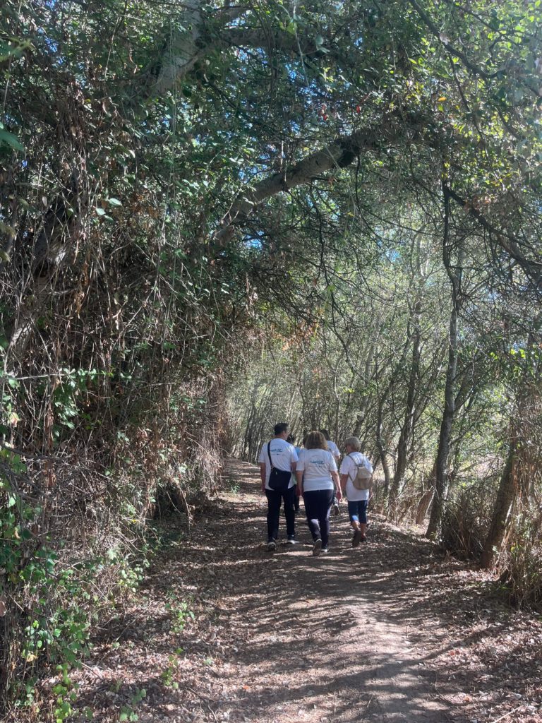 WhatsApp Image 2025-12-29 at 13.43.44