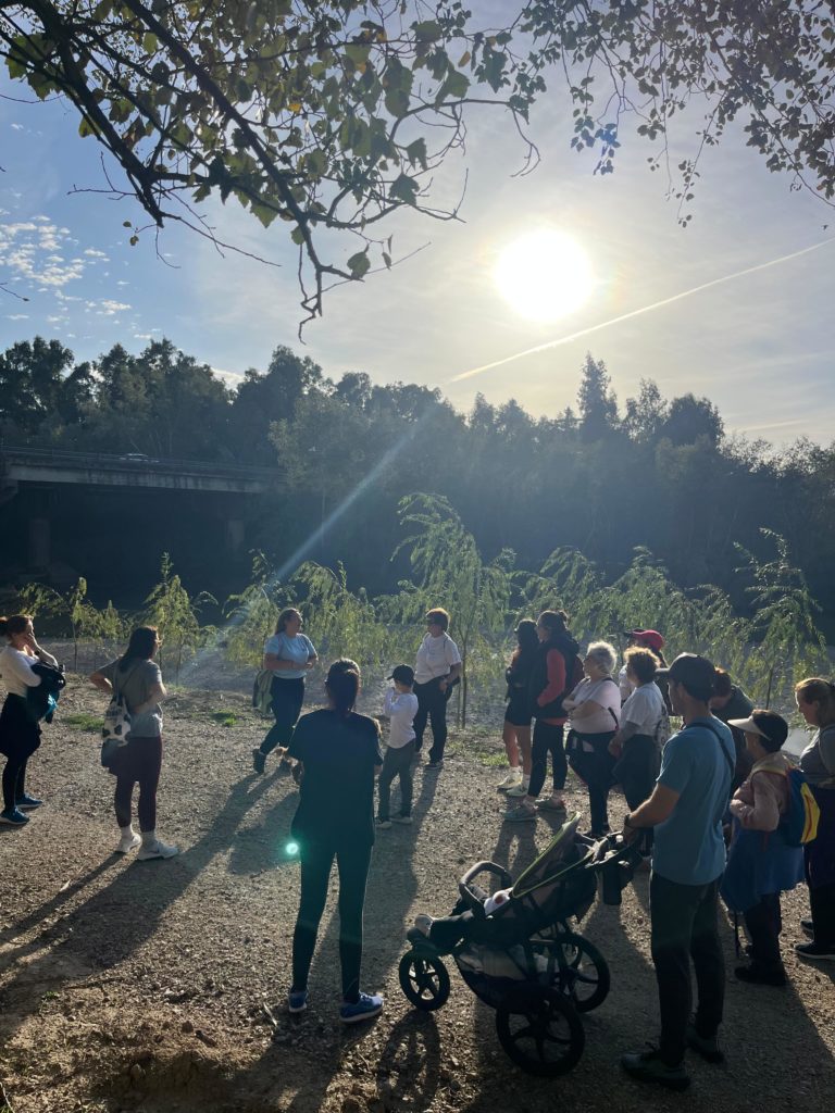 WhatsApp Image 2025-12-29 at 13.59.39