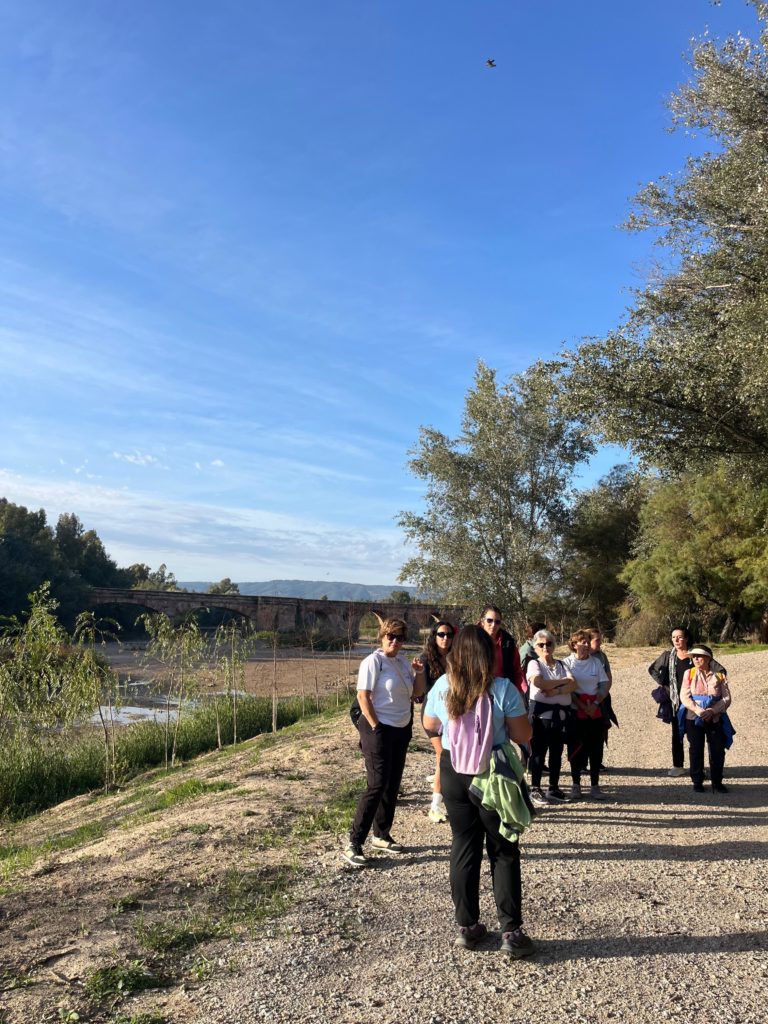 WhatsApp Image 2025-12-29 at 13.59.42 (1)