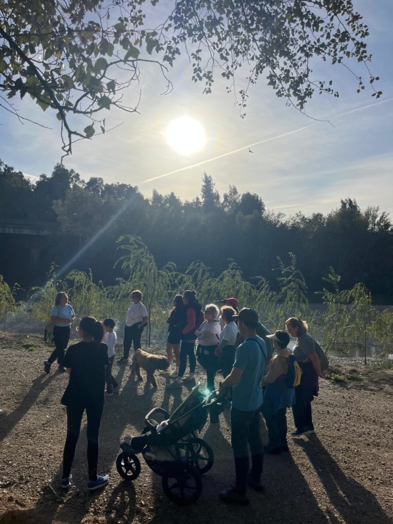 WhatsApp Image 2025-12-29 at 13.59.42